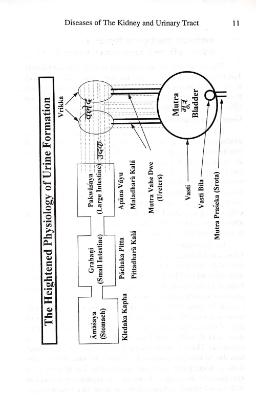 Advances in Ayurvedic medicine Vol 1-5